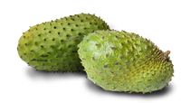 Soursop